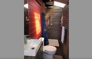 Shower, towels, soap, toilet paper