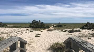 Chaises longues, serviettes de plage