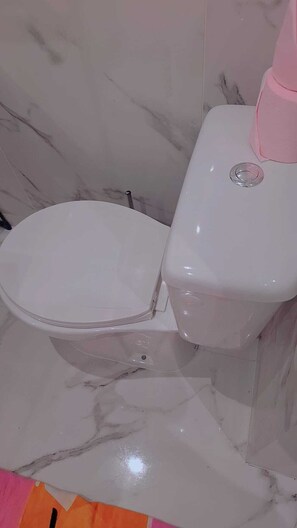 Sèche-cheveux, serviettes fournies, savon, papier toilette
