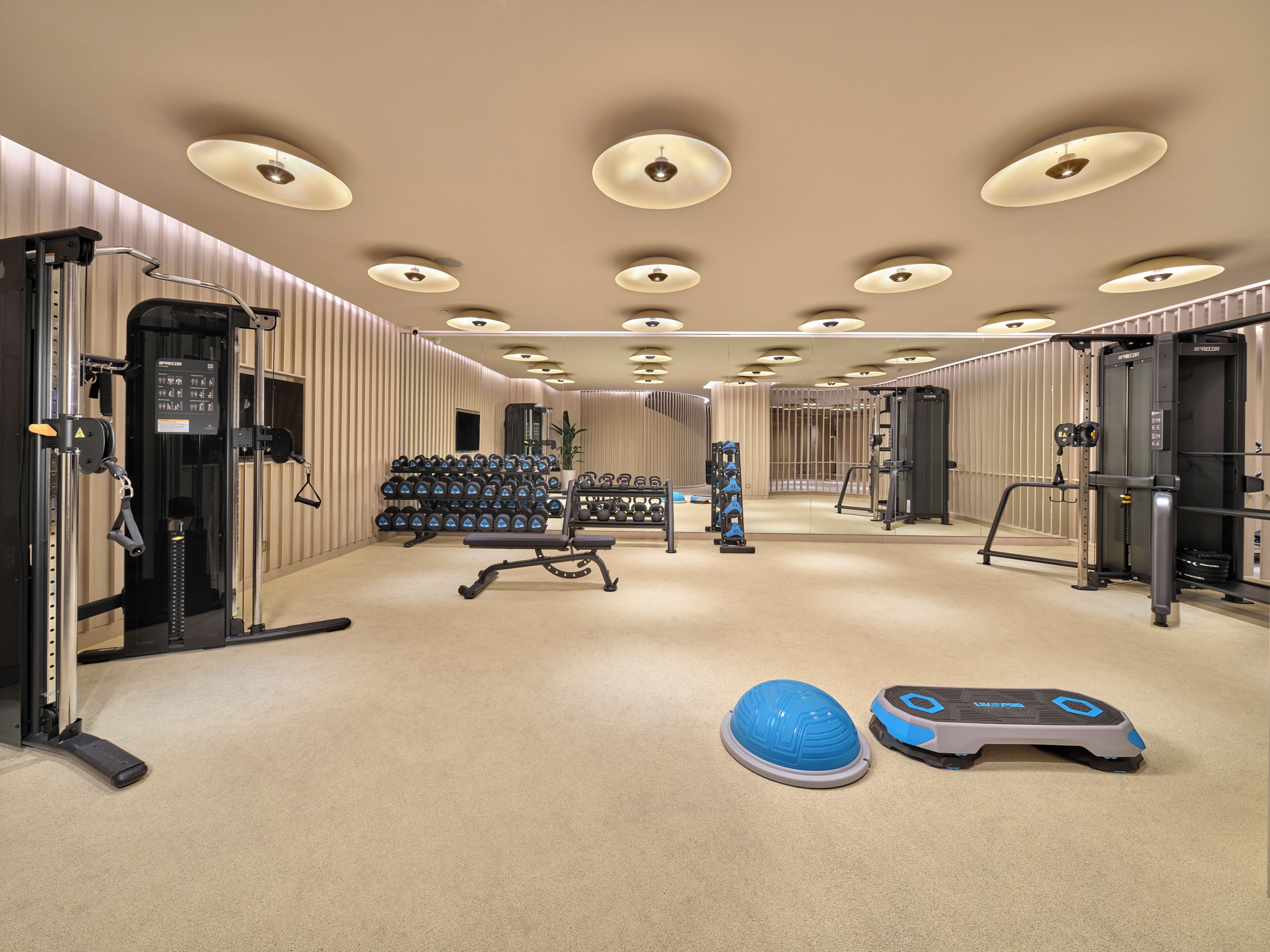 Un gimnasio con equipo de ejercicio, pesas y una pelota de ejercicios azul.