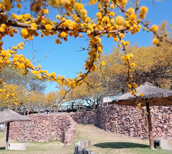 A rustic outdoor area with stone walls, thatched-roof structures, and yellow flowering trees.