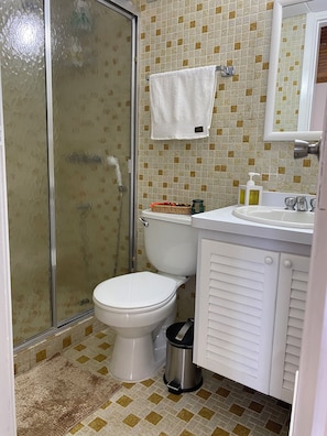Een douche, een haardroger, handdoeken, zeep
