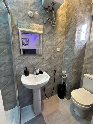 Shower, bidet, towels, soap