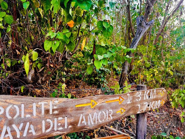 A wooden signpost with directional arrows and distance markers, surrounded by dense foliage. - Ocean Colors Villa (San Pedro Pochutla)