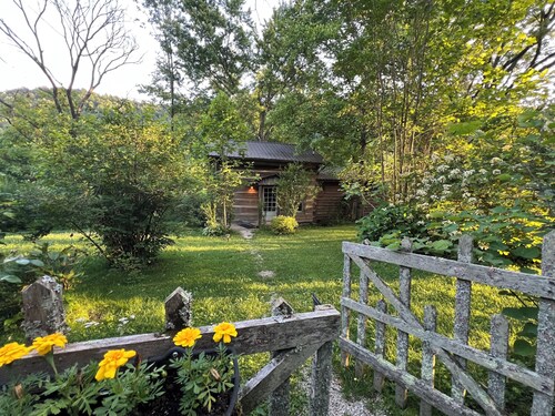 The Cozy Cabin – A Historic Chestnut Log Haven in the Holler