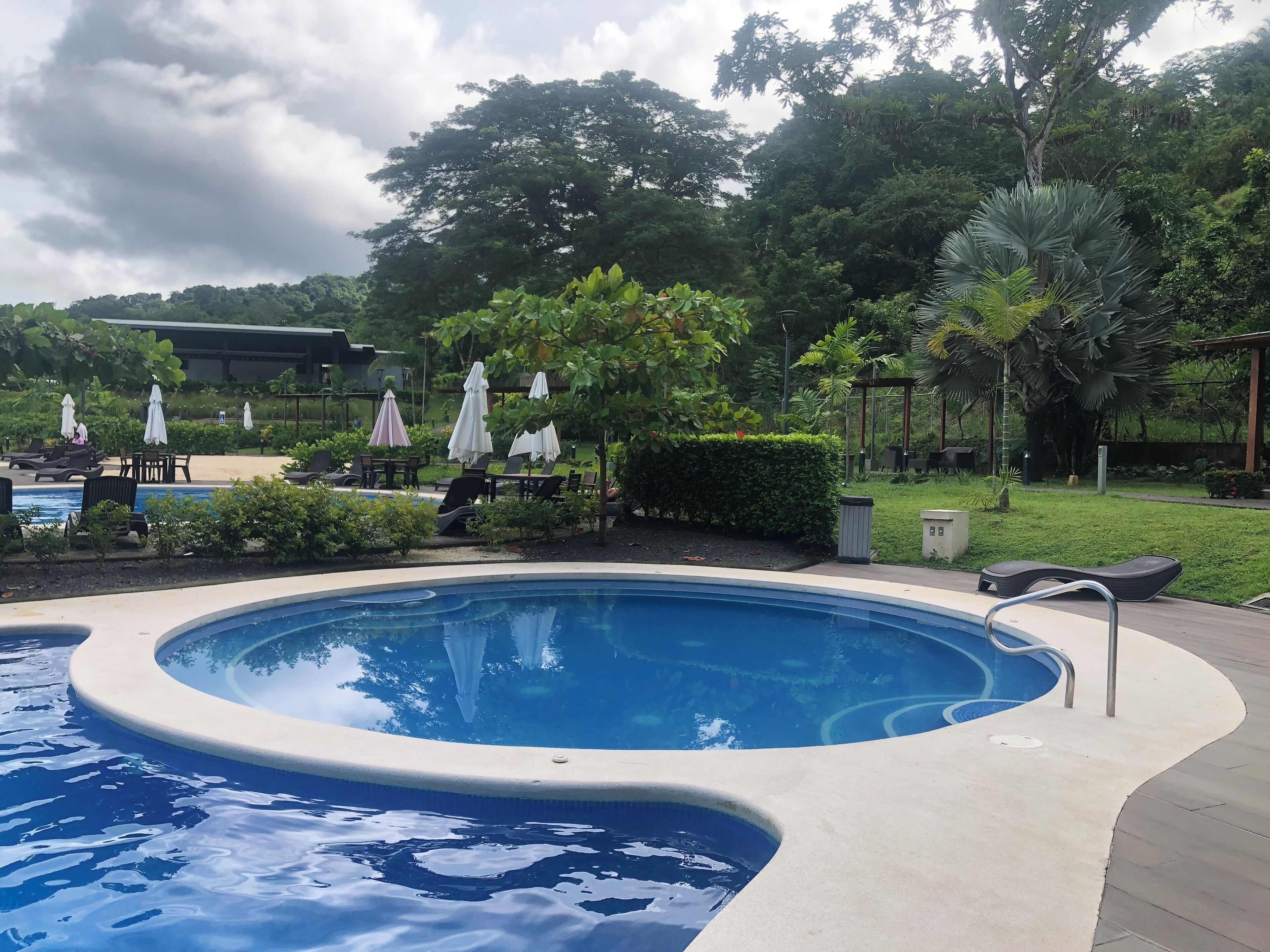 A circular pool with lounge chairs and umbrellas, surrounded by greenery and a building in the background.