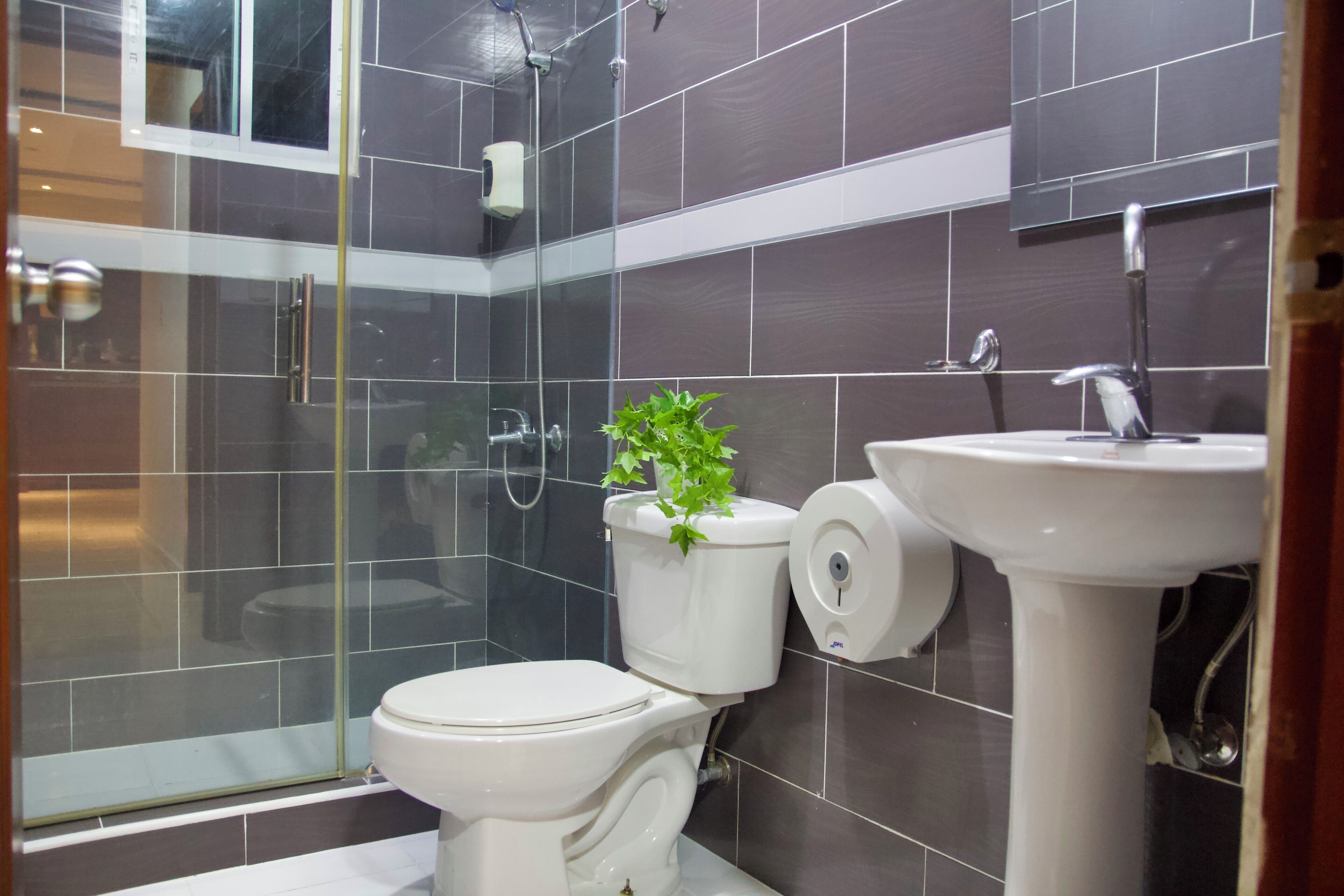 Shower, towels, soap, toilet paper