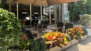 An outdoor seating area with chairs and a large umbrella, surrounded by potted plants. - Chengdu Yueming Hotel (Chengdu)