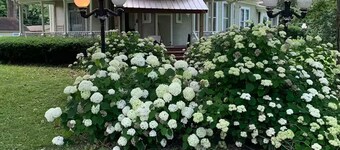 "Historic Grand Detour Victorian Home"