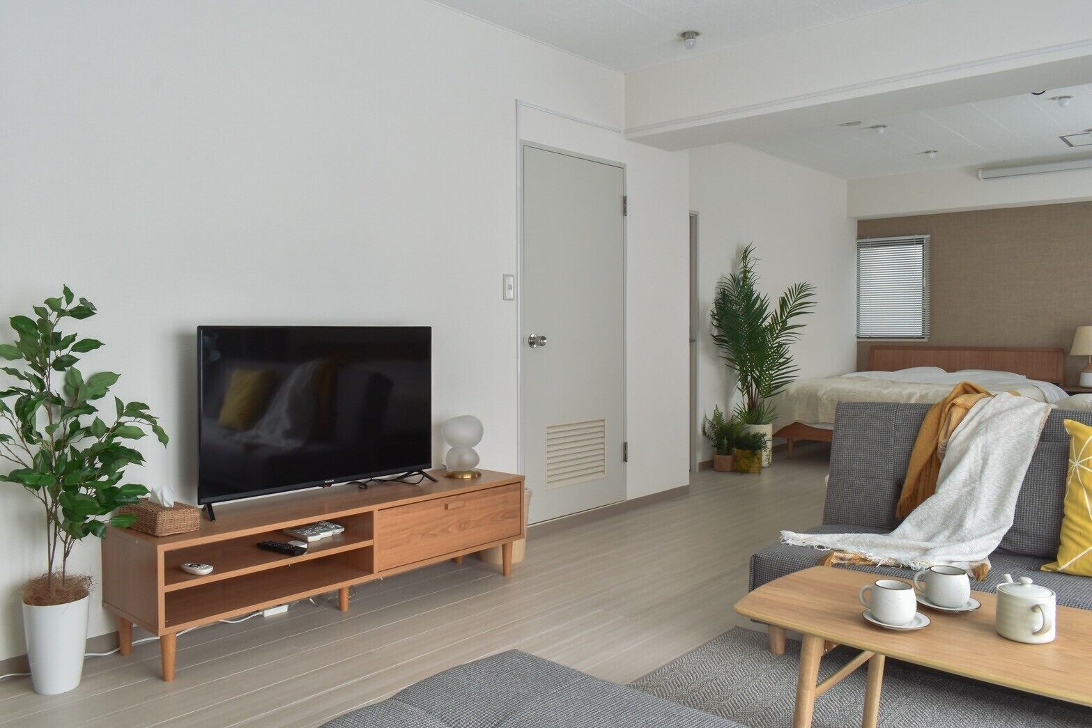 Una habitación de hotel moderna con una televisión de pantalla plana sobre un mueble de madera, una cama con cabecera, una mesita de noche con tazas y una tetera, y una planta en maceta.