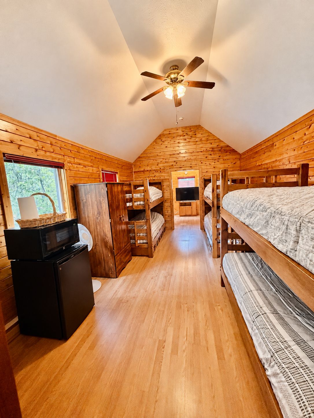Una camera compatta con pareti e pavimenti in legno, una ventola a soffitto, letti a castello, una piccola scrivania con un forno a microonde e una finestra vista alberi.