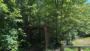 A wooden pergola structure surrounded by lush green foliage. - Fall Lakefront Escape on Monocle Lake with Private Dock + Bunkhouse (Brimley)
