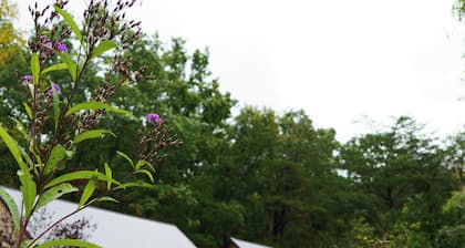 The Whippoorwill Retreat Cabin – A Hillside Haven for Gatherings and Getaways