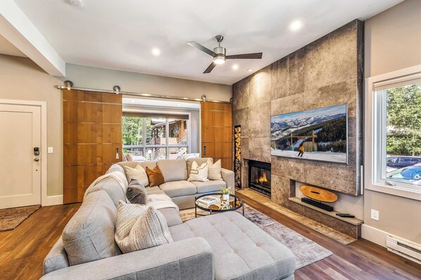 TV, fireplace, books