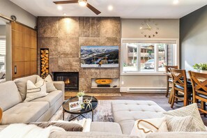 TV, fireplace, books