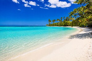 Nära stranden