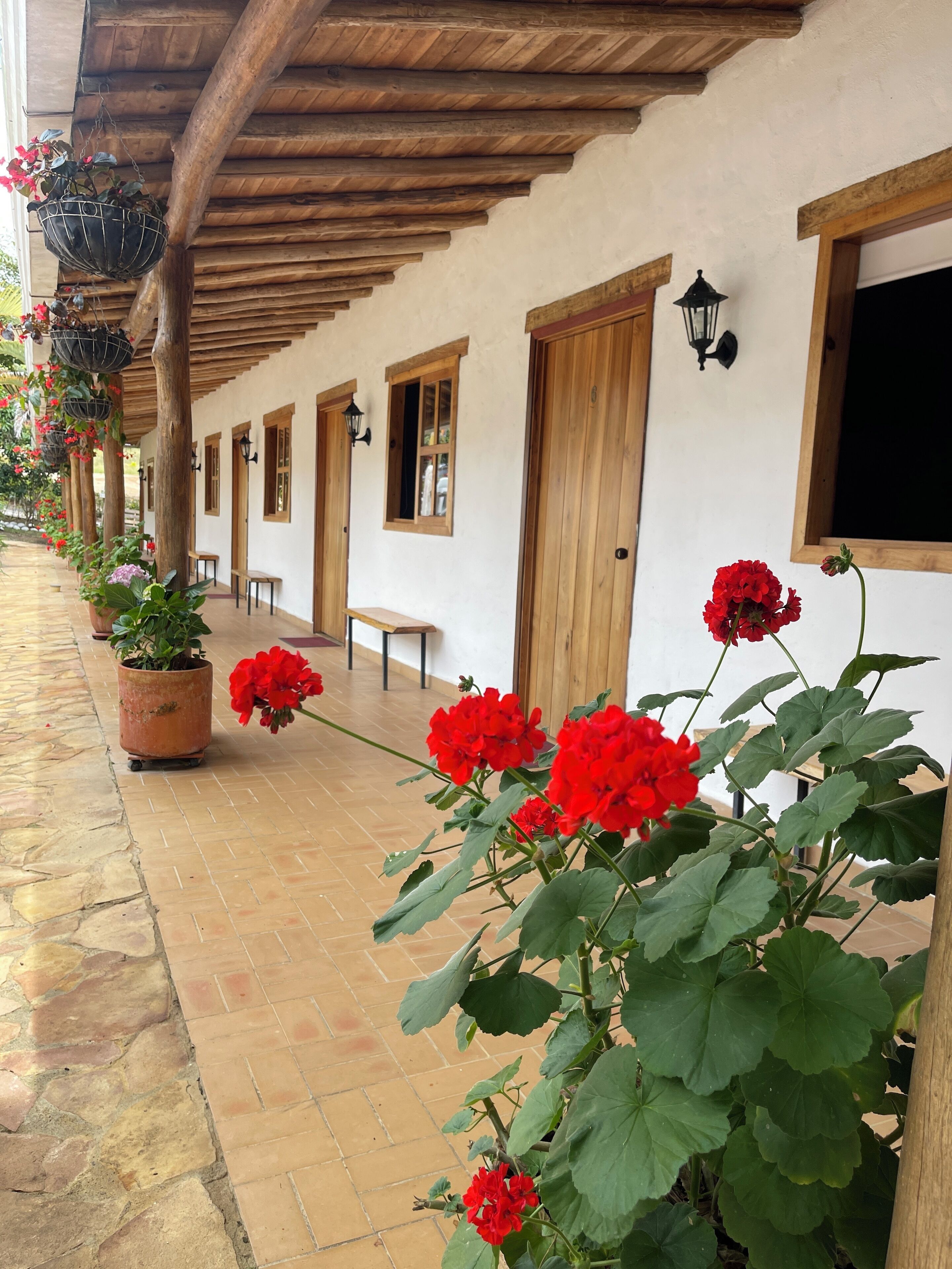 免费 WiFi、床单、轮椅无障碍