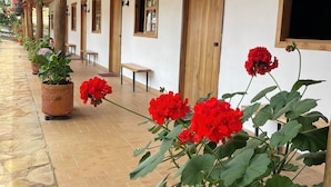 Un couloir couvert agrémenté de plantes en pot et de bancs, avec des portes en bois et un sol carrelé.