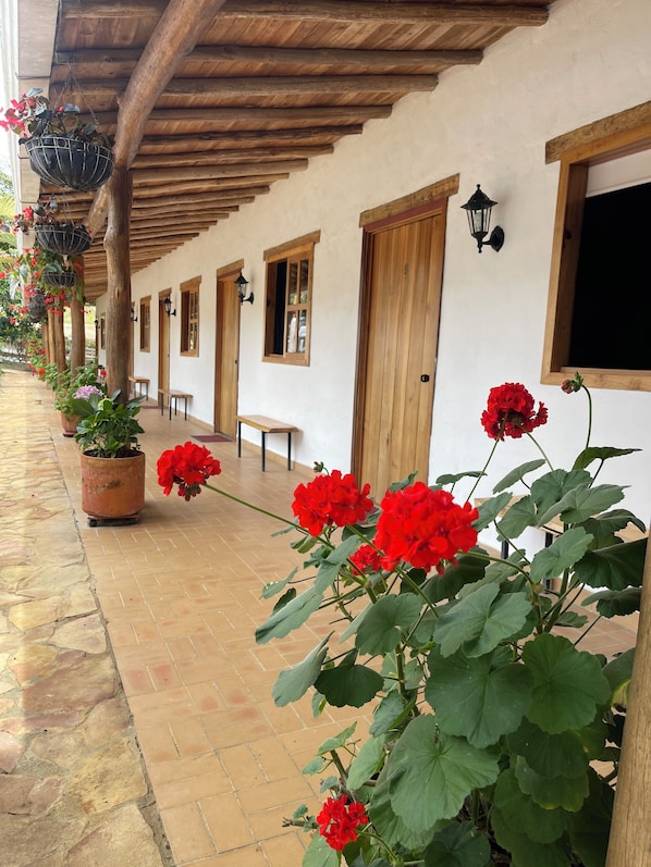 Free WiFi, bed sheets, wheelchair access