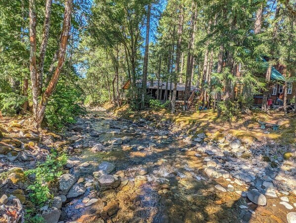 A cabin surrounded by a forest with a stream in the foreground.