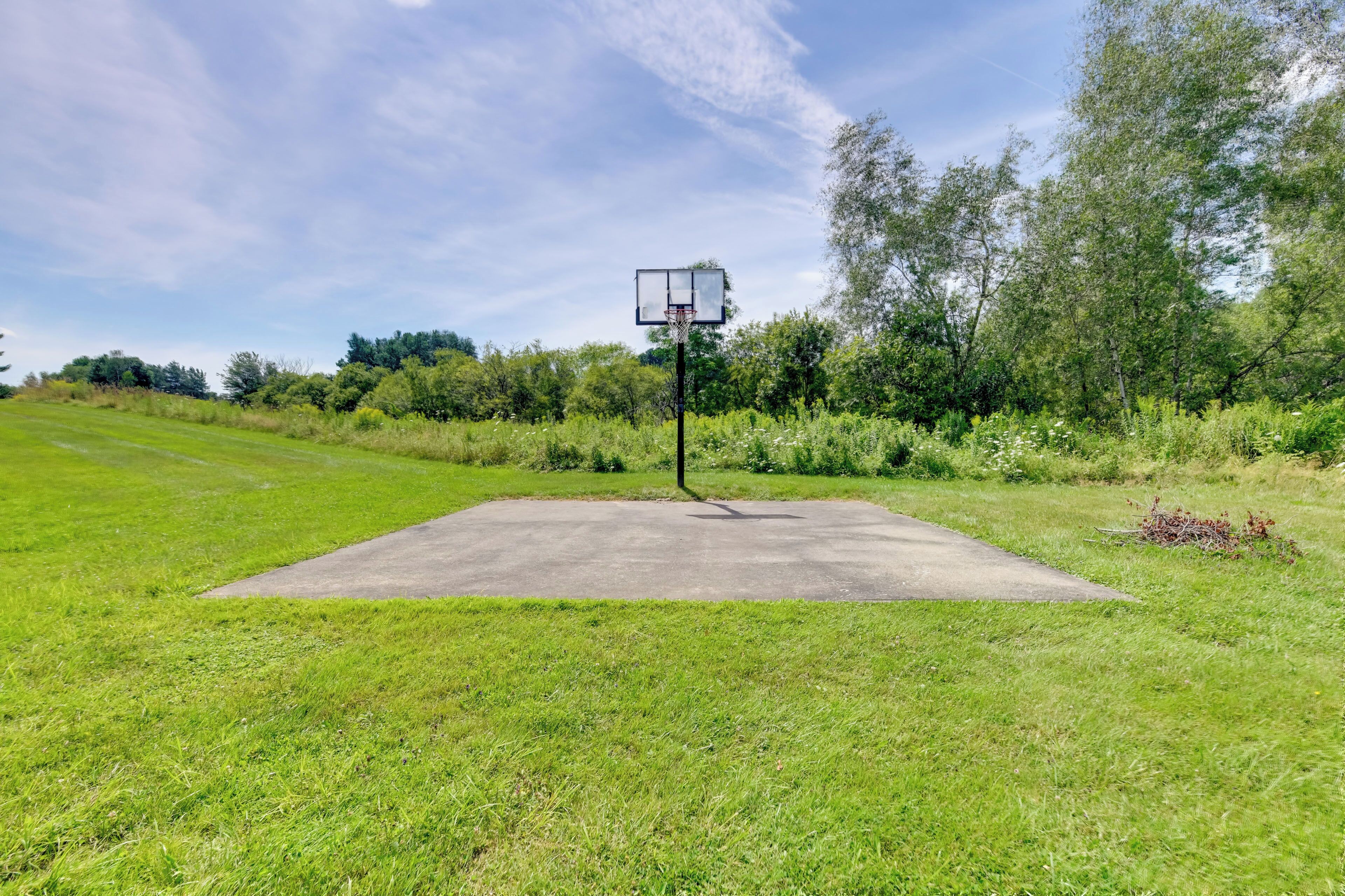 En basketballbane med kurv, omgivet af græs og træer.
