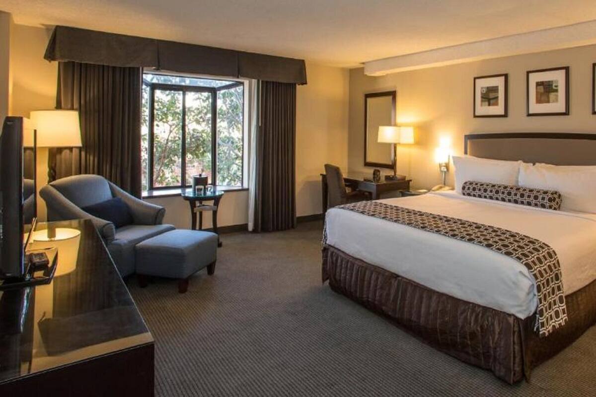 Une chambre d’hôtel avec un grand lit, un bureau avec une chaise, une télévision et une fenêtre avec des rideaux.