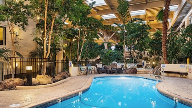Una piscina interior con zonas de estar alrededor, palmeras y un techo alto con tragaluces.
