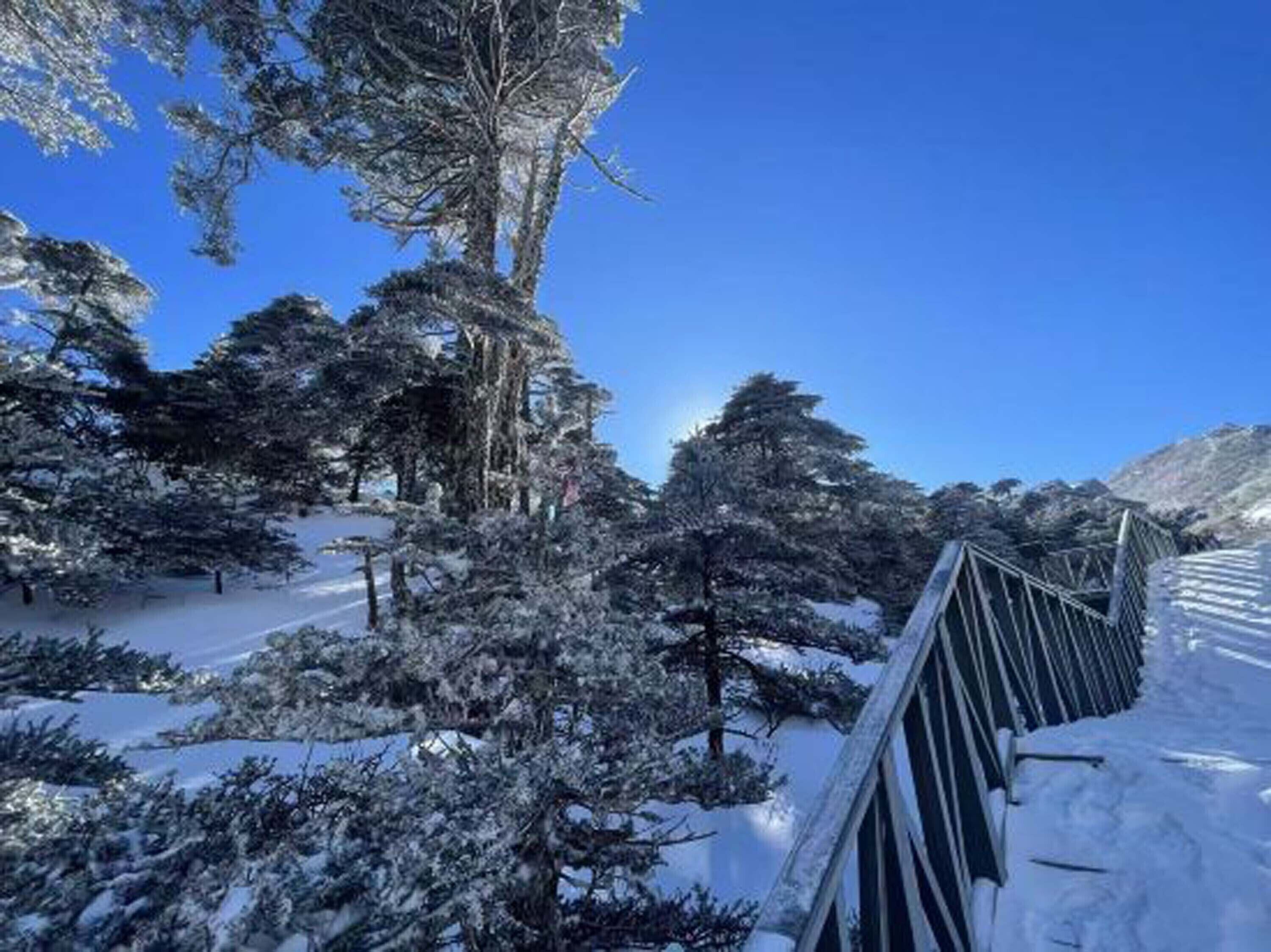A snow-covered landscape with a wooden fence and trees.