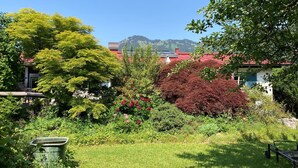 Un jardin avec différentes sortes de plantes et un banc.