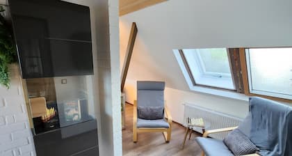 Ferienhaus 'Magisches Wachstein XL' mit privatem Garten und WLAN