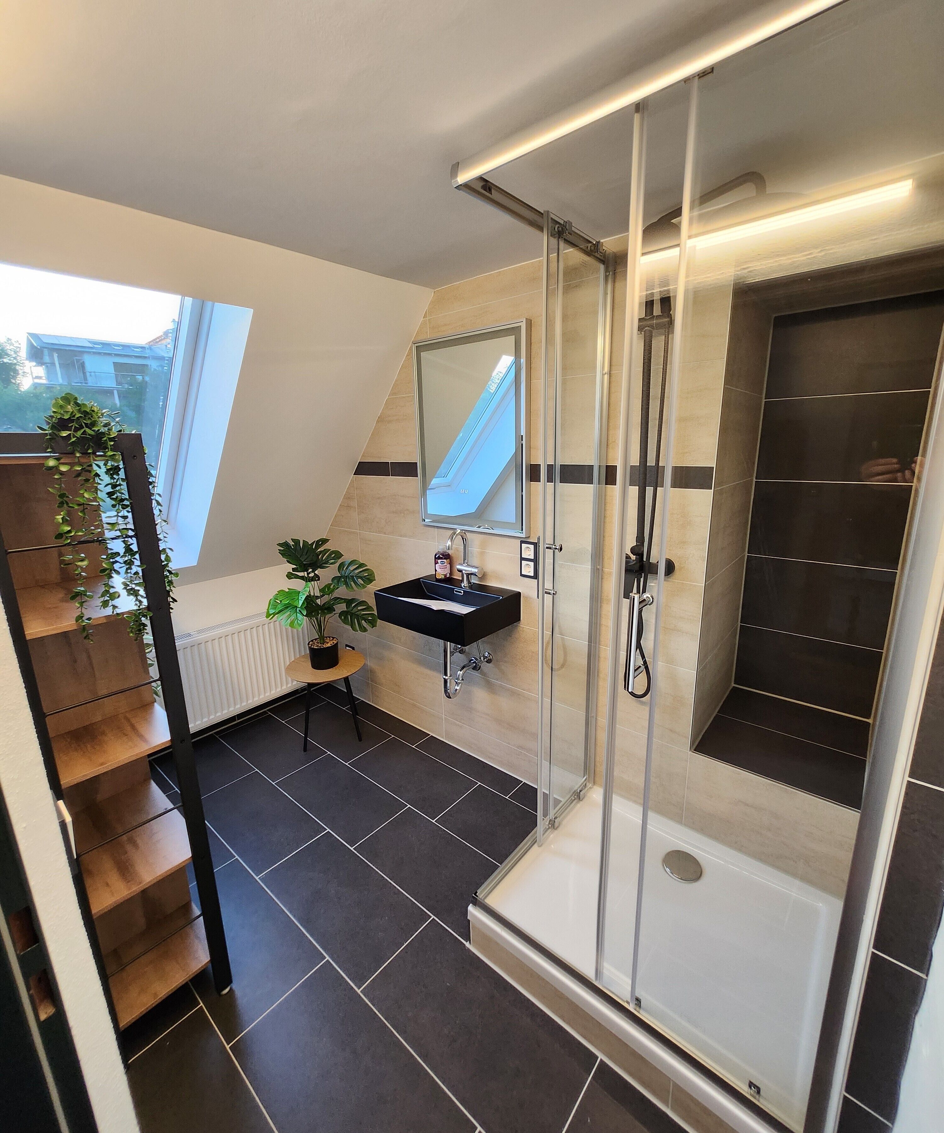 Shower, hair dryer, towels