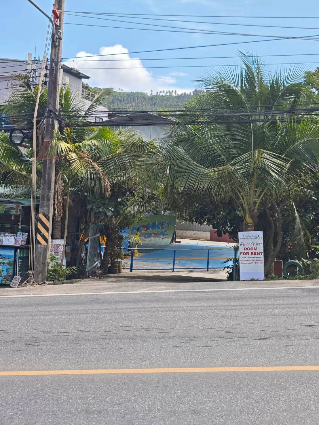 A street view with a sign for a room for rent, palm trees, and a building with a signboard.