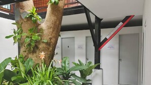 A modern interior with a central tree, potted plants, and a staircase. - Monkey House Hostel Koh Samui (Koh Samui)