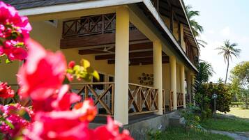 Detalle del exterior