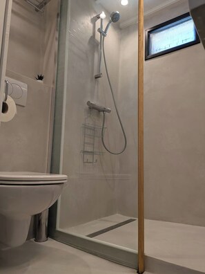 Shower, towels, soap, toilet paper