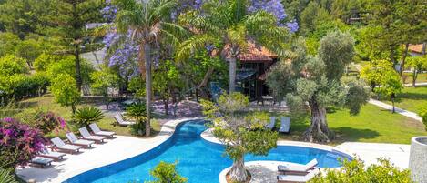 室外游泳池,池畔遮阳伞,日光浴躺椅