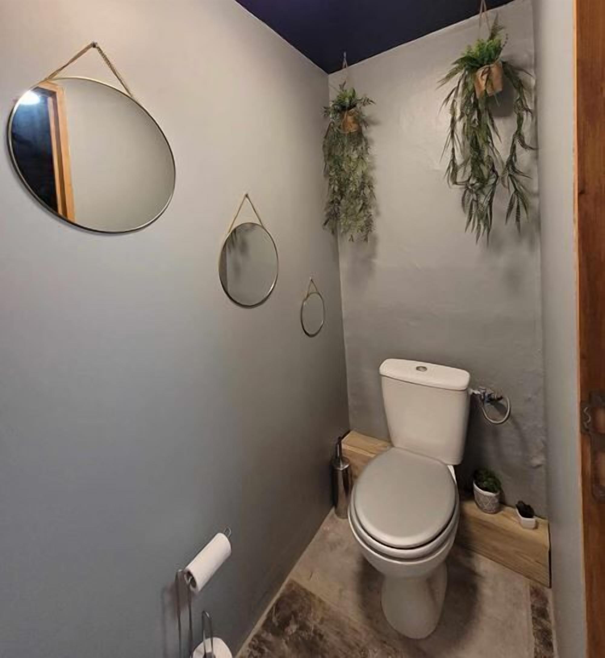 Een badkamer met een toilet, een spiegel en twee hangende planten.