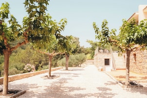 Un patio con árboles, un muro de piedra y un edificio con fachada de piedra y una puerta.