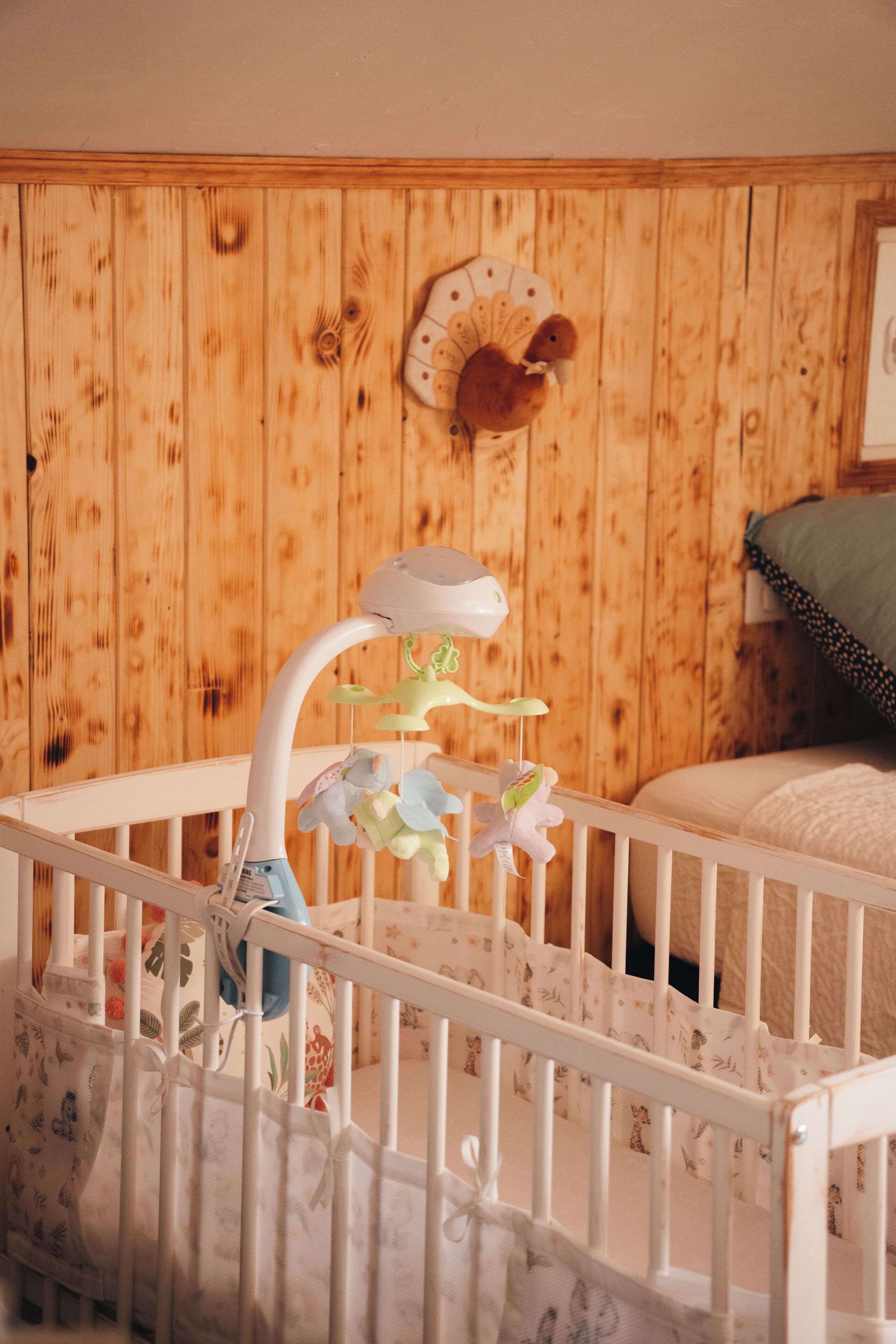 家庭套房, 非吸煙房, 山景 | 客房內保險箱、遮光布/窗簾、隔音、熨斗/熨衣板