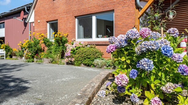 Ein Wohngebäude mit Ziegel Fassade, Fenstern und einem Garten mit Hortensien.