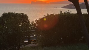 Een zonsondergang boven een wateroppervlak, met een boom op de voorgrond.