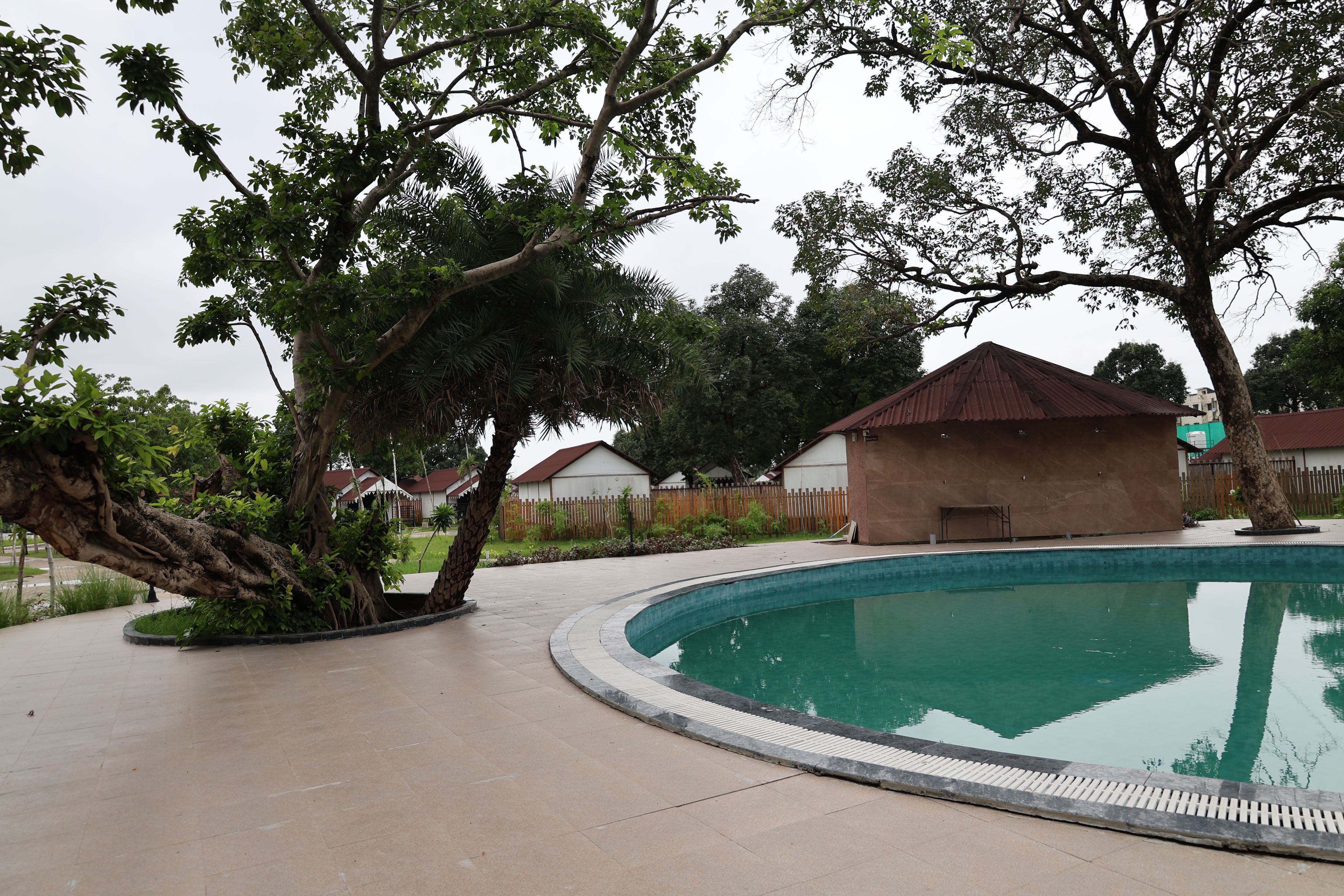 A swimming pool with a curved edge, surrounded by a paved walkway. There are trees and a building with a red roof in the background.