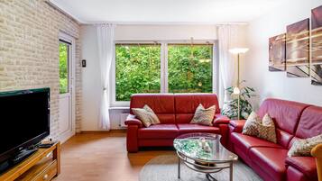 Fernseher, Stereoanlage