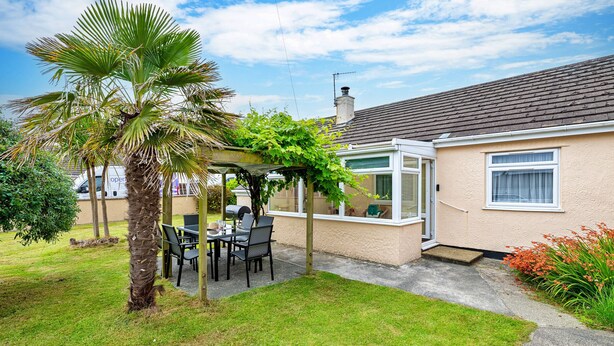 A house with a patio, a palm tree, and a garden. - Nant Y Mynydd (Amlwch)