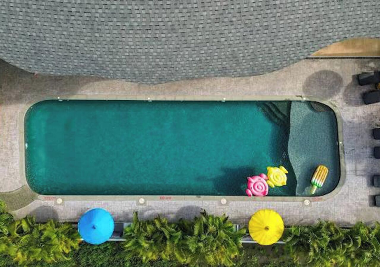 A swimming pool with a green interior, surrounded by a concrete deck and lush greenery.