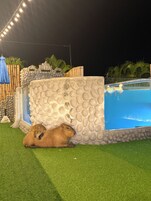 Un área de piscina con un muro de piedra, una pequeña alberca con patos y un suelo cubierto de césped artificial.