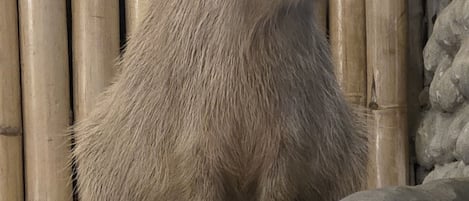 외관
