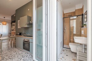 Shower, hair dryer, bidet, towels