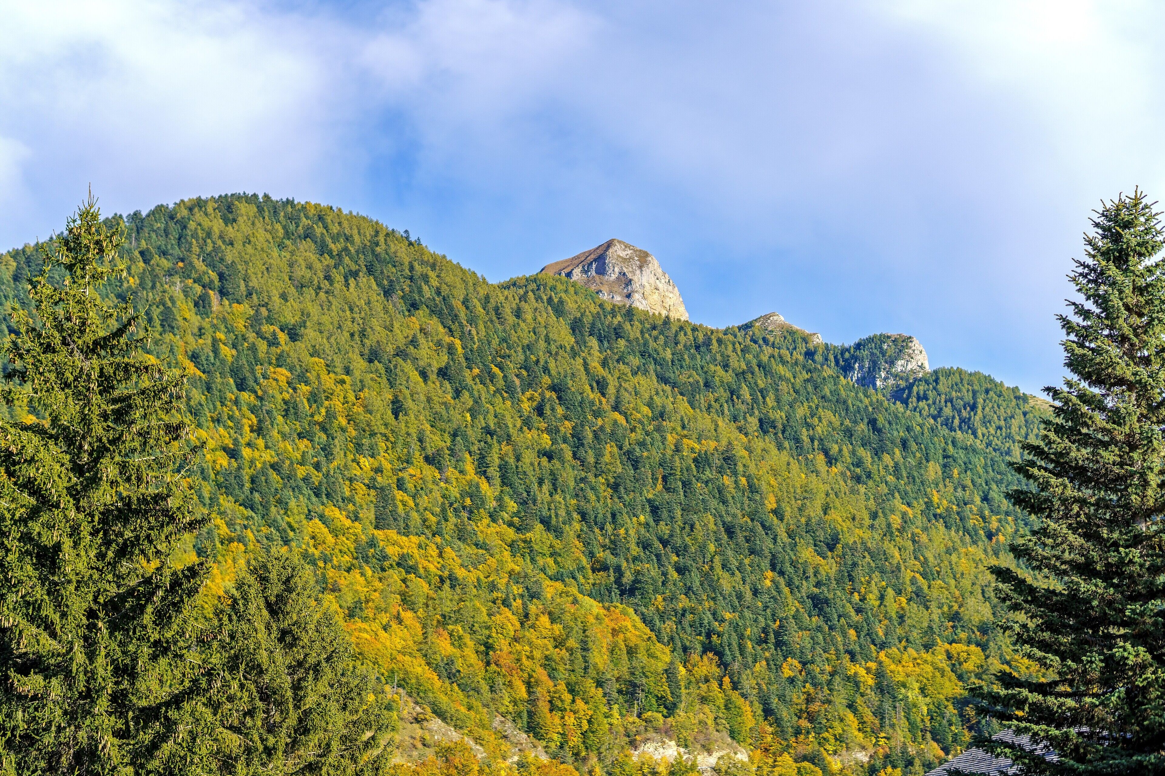 Ein Berg mit dichtem Wald und Felsformationen.