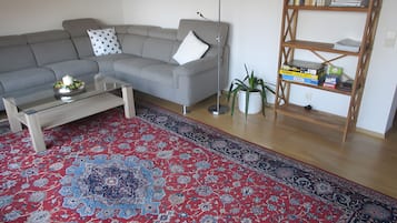 Fernseher, Stereoanlage
